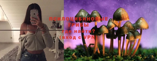 прущая мука Алзамай