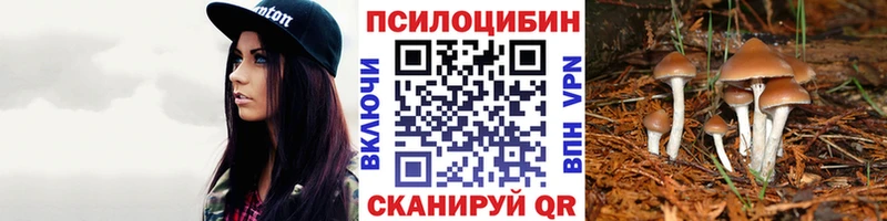 OMG tor Димитровград Галлюциногенные грибы Cubensis