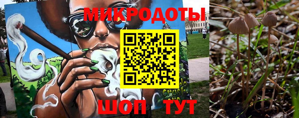Галлюциногенные грибы GOLDEN TEACHER Димитровград