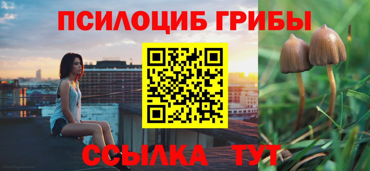 Димитровград  Галлюциногенные грибы мухоморы  хочу наркоту  Вход с VPN 
