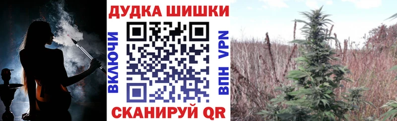 купить  сайты  Димитровград  Конопля планчик 