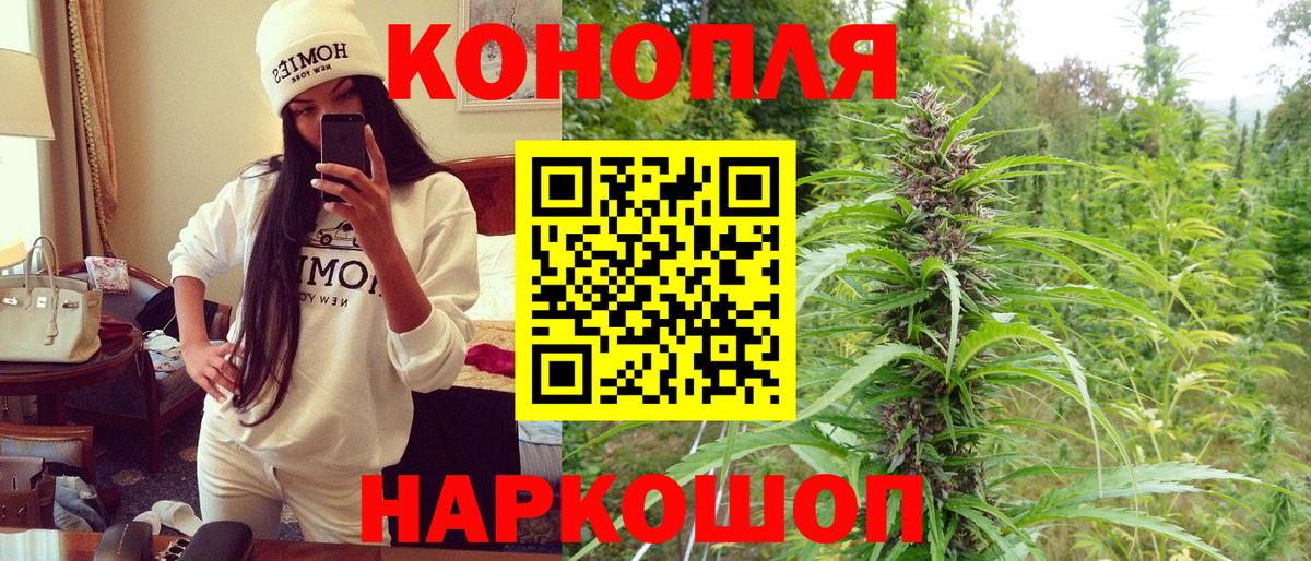 Бошки марихуана план  Бошки марихуана SATIVA & INDICA  Бошки Шишки White Widow  Вход с VPN  Димитровград 